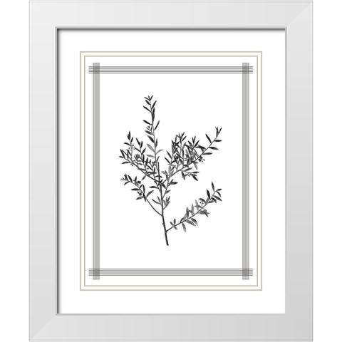 Pressed 3 White Modern Wood Framed Art Print with Double Matting by Allen, Kimberly