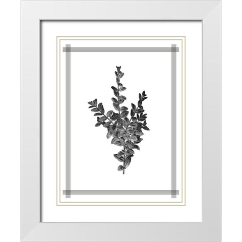 Pressed 4 White Modern Wood Framed Art Print with Double Matting by Allen, Kimberly