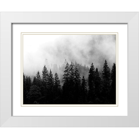 Foggy Morning White Modern Wood Framed Art Print with Double Matting by Allen, Kimberly