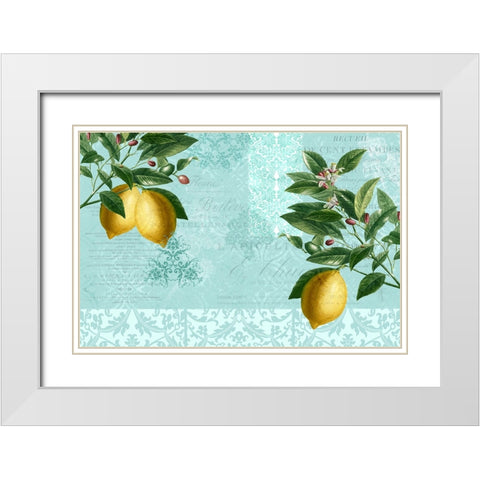 Lemon Drop White Modern Wood Framed Art Print with Double Matting by Allen, Kimberly