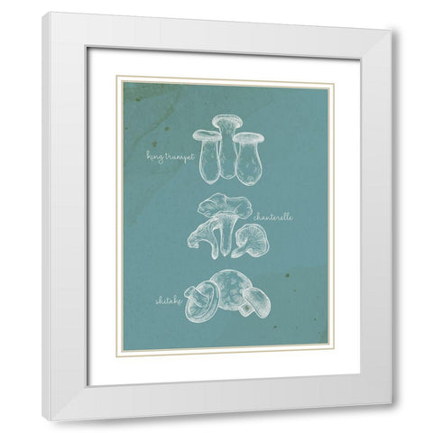 Mushroom Type 1 White Modern Wood Framed Art Print with Double Matting by Allen, Kimberly