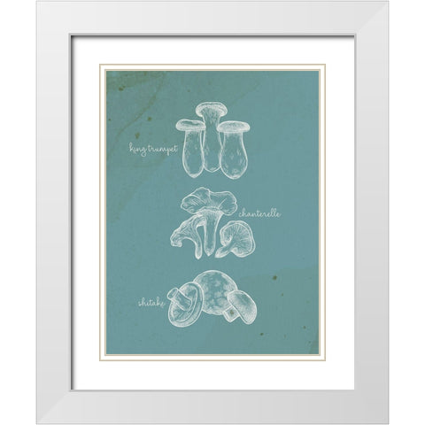 Mushroom Type 1 White Modern Wood Framed Art Print with Double Matting by Allen, Kimberly