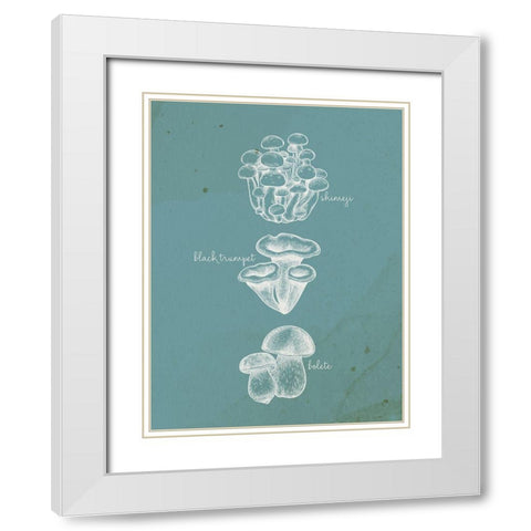 Mushroom Type 2 White Modern Wood Framed Art Print with Double Matting by Allen, Kimberly