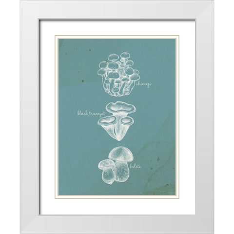 Mushroom Type 2 White Modern Wood Framed Art Print with Double Matting by Allen, Kimberly