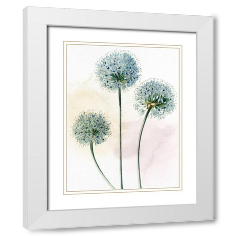 Watercolor Dandelion White Modern Wood Framed Art Print with Double Matting by Allen, Kimberly