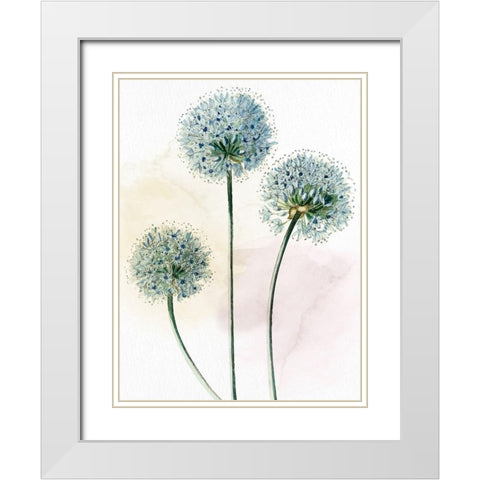 Watercolor Dandelion White Modern Wood Framed Art Print with Double Matting by Allen, Kimberly