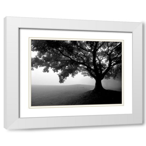Early Morning Fog White Modern Wood Framed Art Print with Double Matting by Allen, Kimberly
