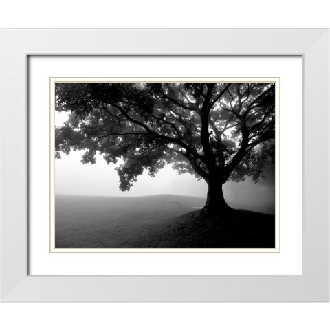 Early Morning Fog White Modern Wood Framed Art Print with Double Matting by Allen, Kimberly