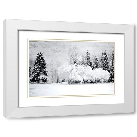 Winter Snow White Modern Wood Framed Art Print with Double Matting by Allen, Kimberly