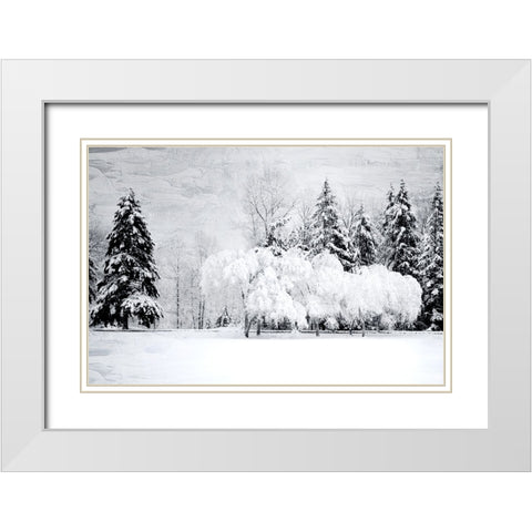 Winter Snow White Modern Wood Framed Art Print with Double Matting by Allen, Kimberly