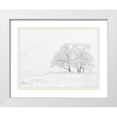 Winter White White Modern Wood Framed Art Print with Double Matting by Allen, Kimberly