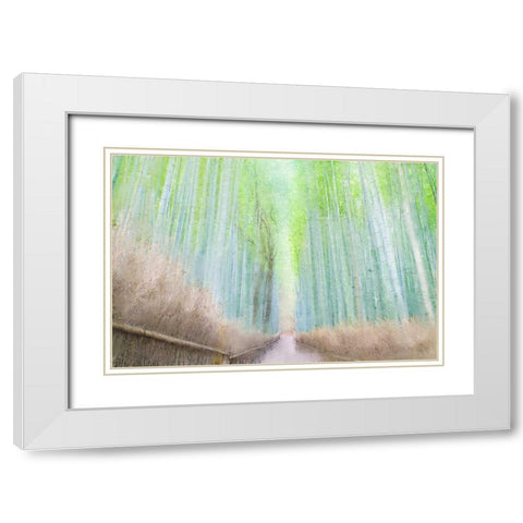 Down the Path White Modern Wood Framed Art Print with Double Matting by Allen, Kimberly