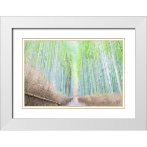 Down the Path White Modern Wood Framed Art Print with Double Matting by Allen, Kimberly