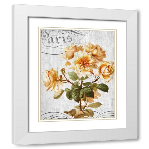 Country Floral 1 White Modern Wood Framed Art Print with Double Matting by Allen, Kimberly