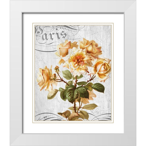 Country Floral 1 White Modern Wood Framed Art Print with Double Matting by Allen, Kimberly