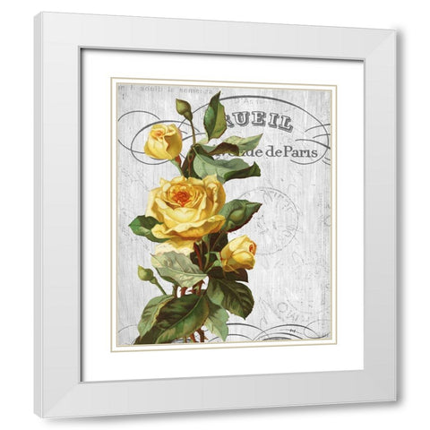 Country Floral 2 White Modern Wood Framed Art Print with Double Matting by Allen, Kimberly