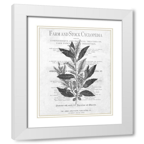 Defused Botanical 1 White Modern Wood Framed Art Print with Double Matting by Kimberly, Allen