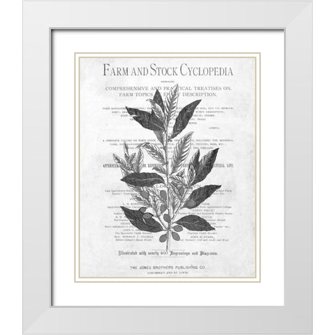 Defused Botanical 1 White Modern Wood Framed Art Print with Double Matting by Kimberly, Allen