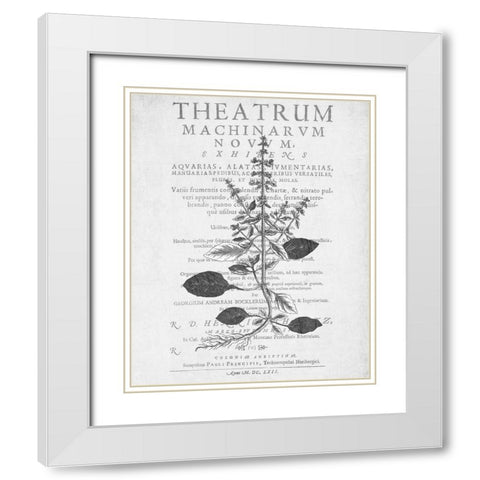 Defused Botanical 2 White Modern Wood Framed Art Print with Double Matting by Kimberly, Allen