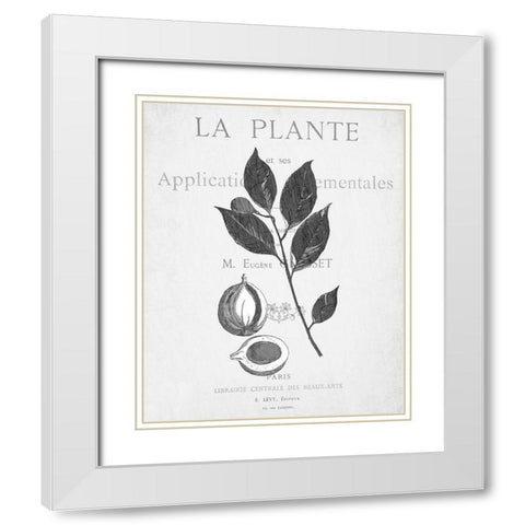 Defused Botanical 3 White Modern Wood Framed Art Print with Double Matting by Kimberly, Allen