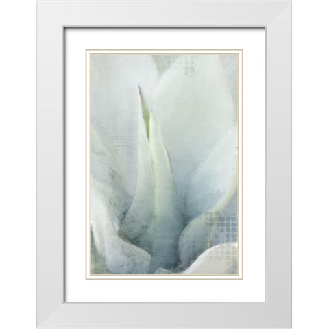 Agave 1 White Modern Wood Framed Art Print with Double Matting by Kimberly, Allen