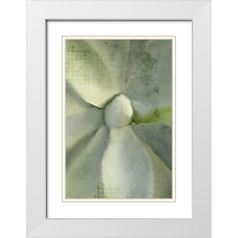Agave 2 White Modern Wood Framed Art Print with Double Matting by Kimberly, Allen