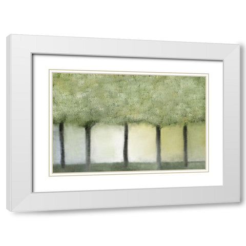 Grove of Trees White Modern Wood Framed Art Print with Double Matting by Kimberly, Allen