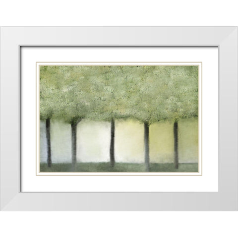 Grove of Trees White Modern Wood Framed Art Print with Double Matting by Kimberly, Allen