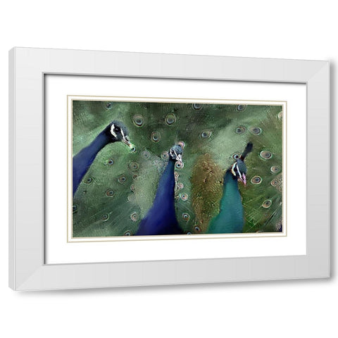 Royal 1 White Modern Wood Framed Art Print with Double Matting by Kimberly, Allen