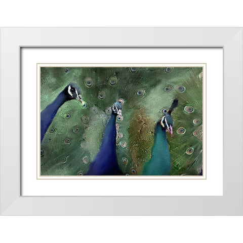 Royal 1 White Modern Wood Framed Art Print with Double Matting by Kimberly, Allen