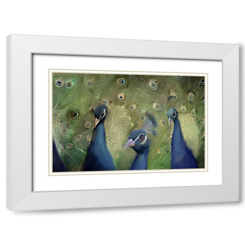 Royal 2 White Modern Wood Framed Art Print with Double Matting by Kimberly, Allen