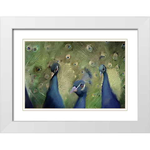 Royal 2 White Modern Wood Framed Art Print with Double Matting by Kimberly, Allen