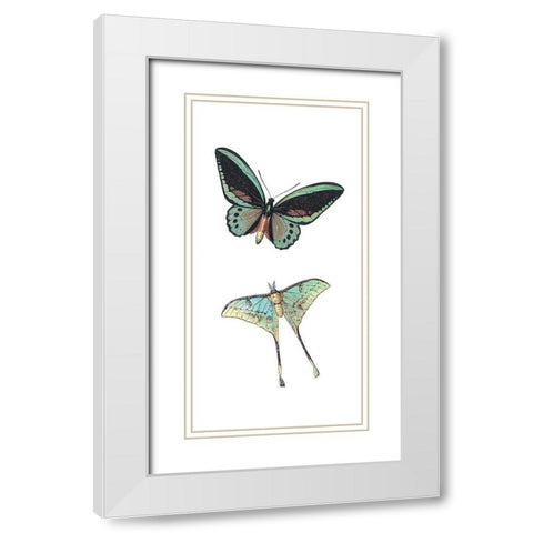 Fly Free 1 White Modern Wood Framed Art Print with Double Matting by Kimberly, Allen