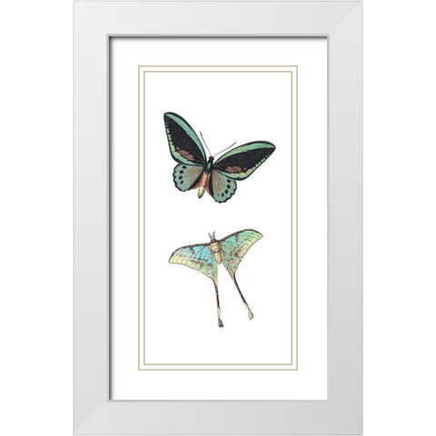 Fly Free 1 White Modern Wood Framed Art Print with Double Matting by Kimberly, Allen