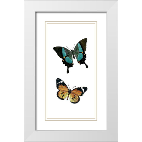Fly Free 2 White Modern Wood Framed Art Print with Double Matting by Kimberly, Allen