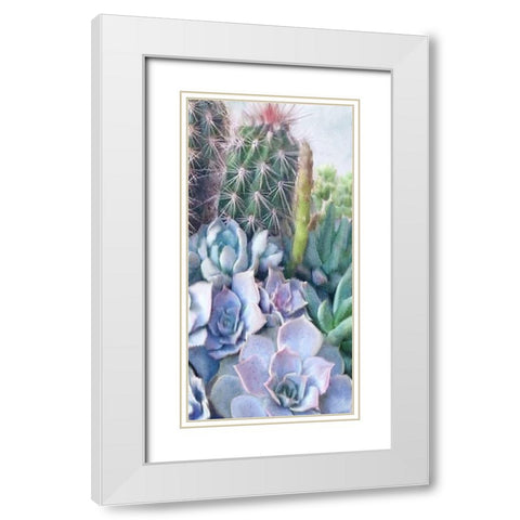 Succulent Garden 1 White Modern Wood Framed Art Print with Double Matting by Kimberly, Allen