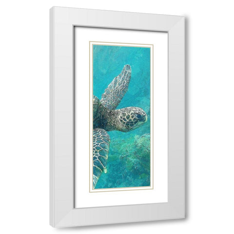 Sea Turtle 1 White Modern Wood Framed Art Print with Double Matting by Allen, Kimberly