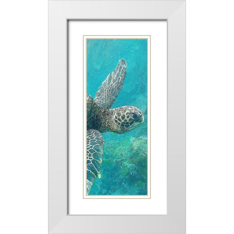 Sea Turtle 1 White Modern Wood Framed Art Print with Double Matting by Allen, Kimberly
