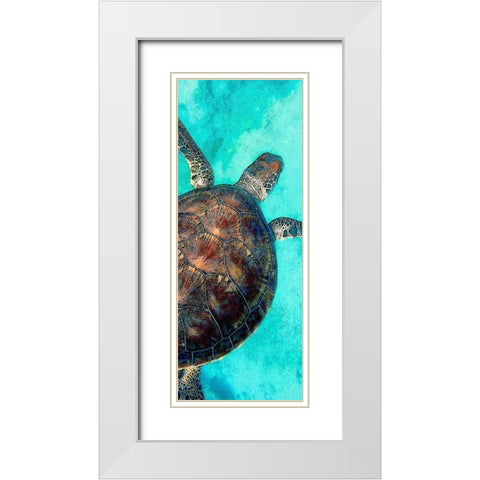 Sea Turtle 2 White Modern Wood Framed Art Print with Double Matting by Allen, Kimberly