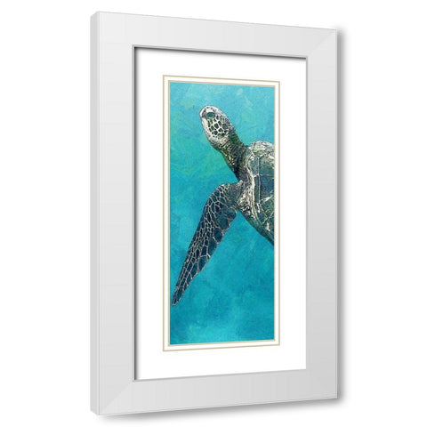 Sea Turtle 3 White Modern Wood Framed Art Print with Double Matting by Allen, Kimberly