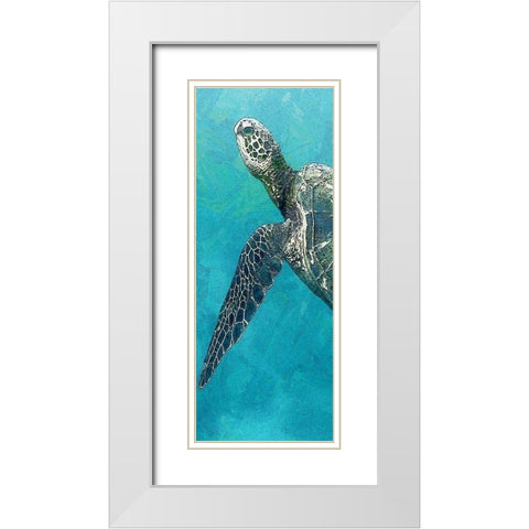 Sea Turtle 3 White Modern Wood Framed Art Print with Double Matting by Allen, Kimberly
