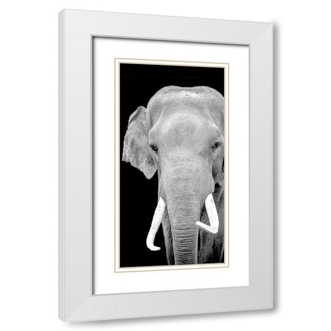 Strong 2 White Modern Wood Framed Art Print with Double Matting by Allen, Kimberly