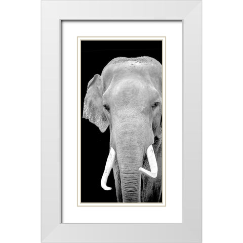 Strong 2 White Modern Wood Framed Art Print with Double Matting by Allen, Kimberly