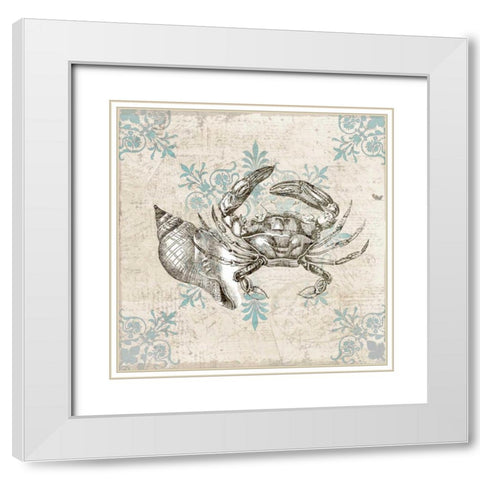 Sea Life C White Modern Wood Framed Art Print with Double Matting by Allen, Kimberly