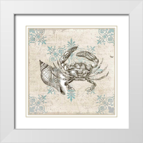 Sea Life C White Modern Wood Framed Art Print with Double Matting by Allen, Kimberly