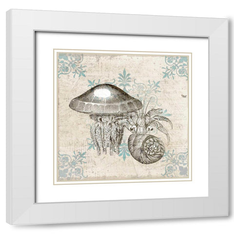Sea Life B White Modern Wood Framed Art Print with Double Matting by Allen, Kimberly