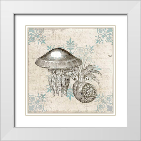 Sea Life B White Modern Wood Framed Art Print with Double Matting by Allen, Kimberly