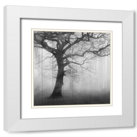 In the Mist White Modern Wood Framed Art Print with Double Matting by Allen, Kimberly