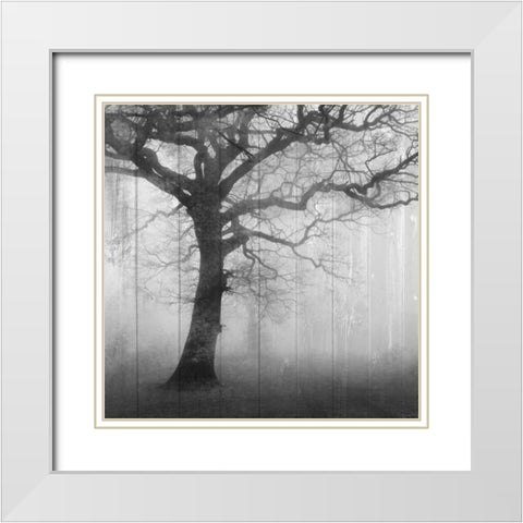 In the Mist White Modern Wood Framed Art Print with Double Matting by Allen, Kimberly
