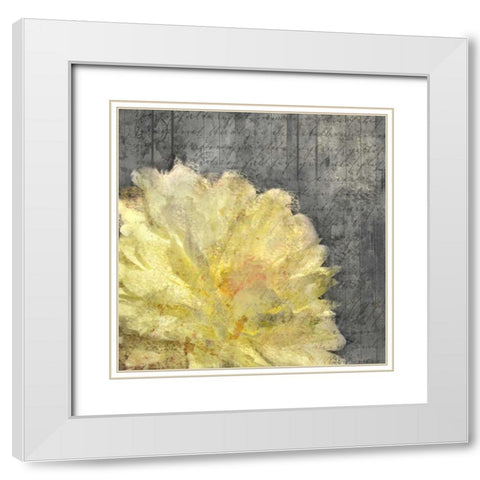 In Nature Yellow White Modern Wood Framed Art Print with Double Matting by Allen, Kimberly